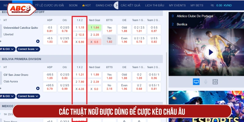 Các thuật ngữ được dùng để cược kèo châu Âu