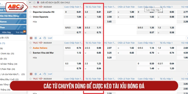 Các từ chuyên dùng để cược kèo tài xỉu bóng đá