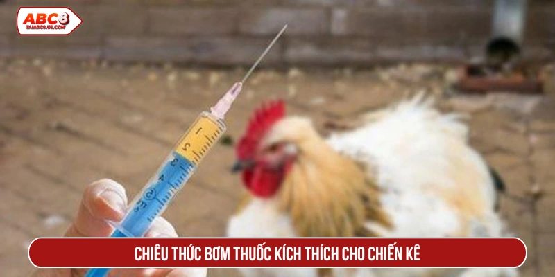 Chiêu thức bơm thuốc kích thích cho chiến kê 