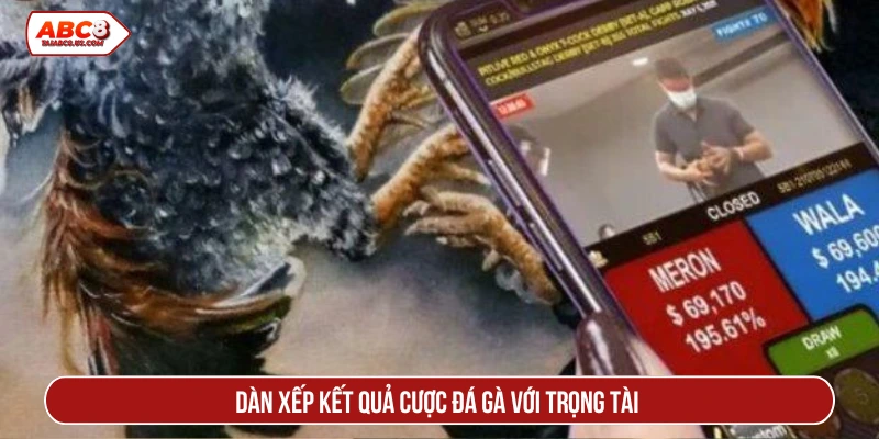 Dàn xếp kết quả cược đá gà với trọng tài
