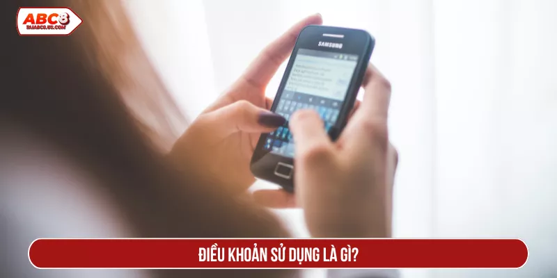 Điều khoản sử dụng là gì?