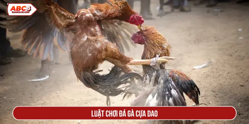 Luật chơi đá gà cựa dao 