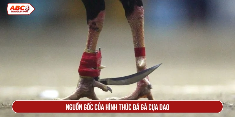 Nguồn gốc của hình thức đá gà cựa dao 