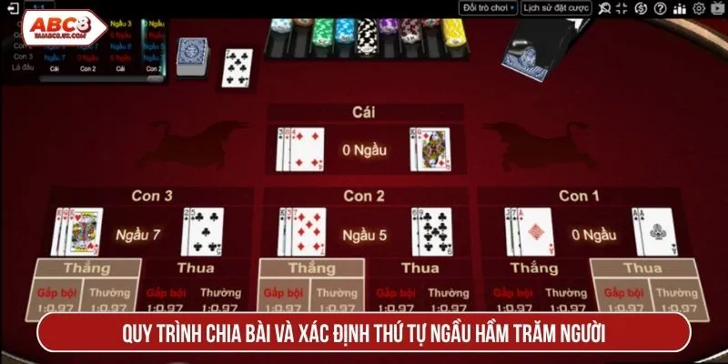 Quy trình chia bài và xác định thứ tự ngầu hầm trăm người