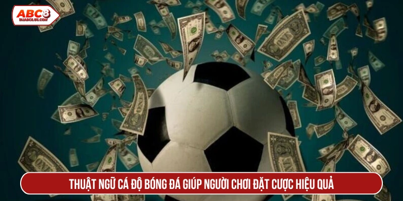 Thuật ngữ cá độ bóng đá giúp người chơi đặt cược hiệu quả