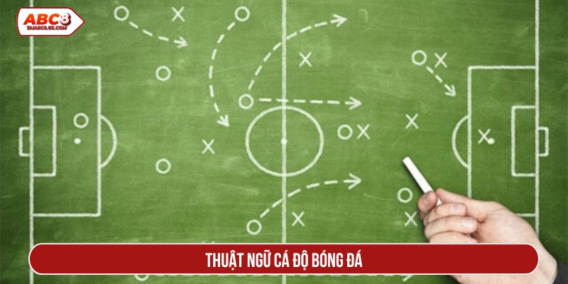 thuật ngữ cá độ bóng đá